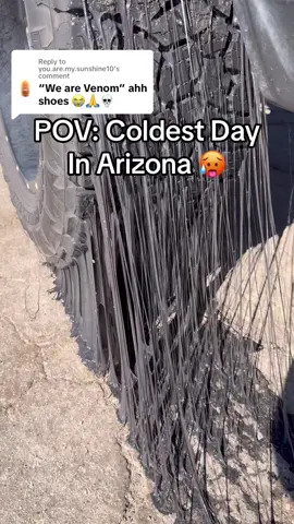 Replying to @you.are.my.sunshine10 #arizona #arizonaheat #Summer #heatwave #oscardiditagain 