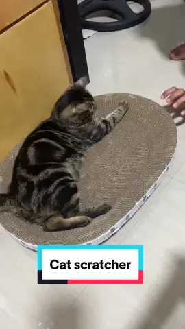 Bilhin niyo na si miming ng sariling scratch board nya. 🥹✨ #catscratcher #scratcher #catsoftiktok #cat #fyp 