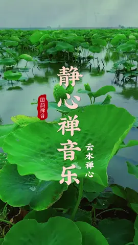 古筝纯音乐《云水禅心》净化心灵的天籁之音，疏肝解郁，养心安神#古典音乐 
