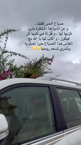 صباح الخير  ‏ أتمنى أن تحدث لك أشياء  ‏في غاية اللُّطف والبهجة تسكنُّ قلبها بكل حُبّ  ‏وتسير معها بقيّة العمر.#صديقتي #بهجة #روحي_وداد♥️🌿 