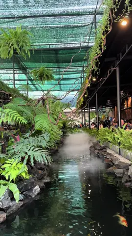 Giữa cuộc sống xô bồ này bao lâu rồi chúng ta chưa gặp nhau ☺️☺️#xuhuong #AnUongDuLich #danang #reviewdanang #amthucdanang #rừngnhiệtđới #canhacgiaitri🎶🎶 