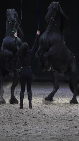 人的眼神中充满了对马的深深的爱意，而马也用温柔的目光回应着主人的关怀。定格了人与马之间那份无法言喻的羁绊。😘❤️#horseriding #horsevideo #horseride #horserider #horses #horse #funny #funyvideo 