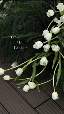 LOVE ME TENDER 🌷🌷 #lovemeTENder. #lovemetender  #xuhuongtiktok #xuhuong #Love #trending #fyp #wallpaper #peaceful #viral #romance #romantic #iloveyou 