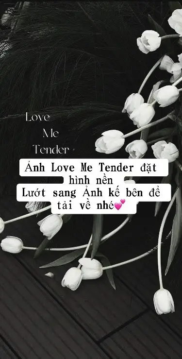 Sếp Ninh bảo đăng ảnh này cho nhân viên tải về xin vía. Không lên xu hướng sếp cho nghỉ việc#ninhduongstory #lovemetender #ninhanhbui #amiuoi #damcuoininhduong #lovemetender 