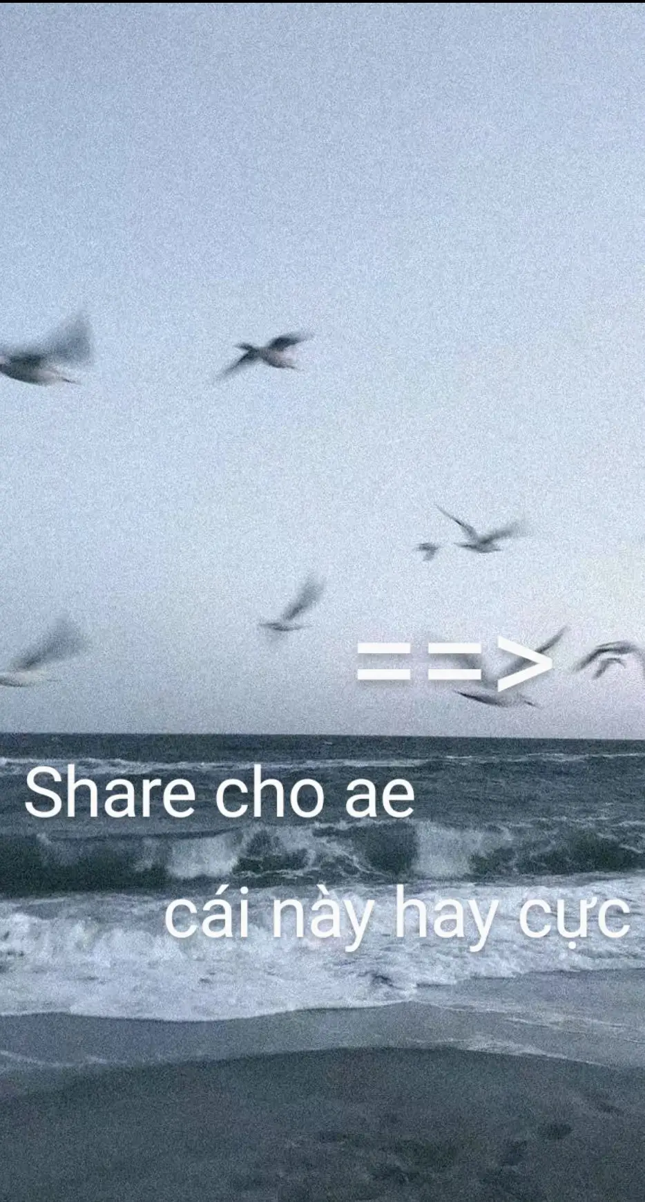 có giấy phép r nhá😂 #xemchua #fyp #xh #meme