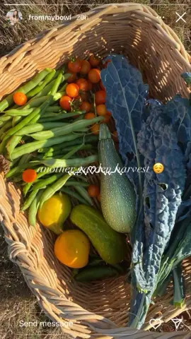 vegetable lovers🥦🌽🥕🍅 sebutin sayuran terenak menurut kalian✨ #fyp #vegetable #aesthetic #mood #mymood #healtyfood #cleanfood #xybca #foryoupage #foryou #sayuran #sayur #vegetables #vegetablelover 