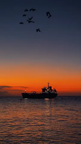 #sunset #lombokisland #lombok #sunsetlover #ampenan #pantaiampenan 