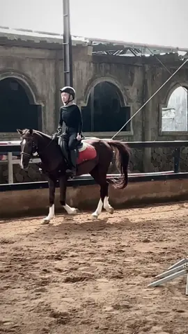 I trust my horse more than any humans being.