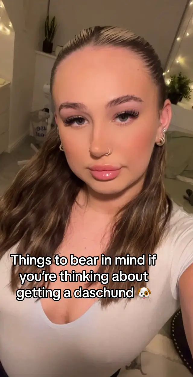 #foryou #foryourpage #daschund #daschundsoftiktok #fyp #viral #trending #puppy #puppylove #training 