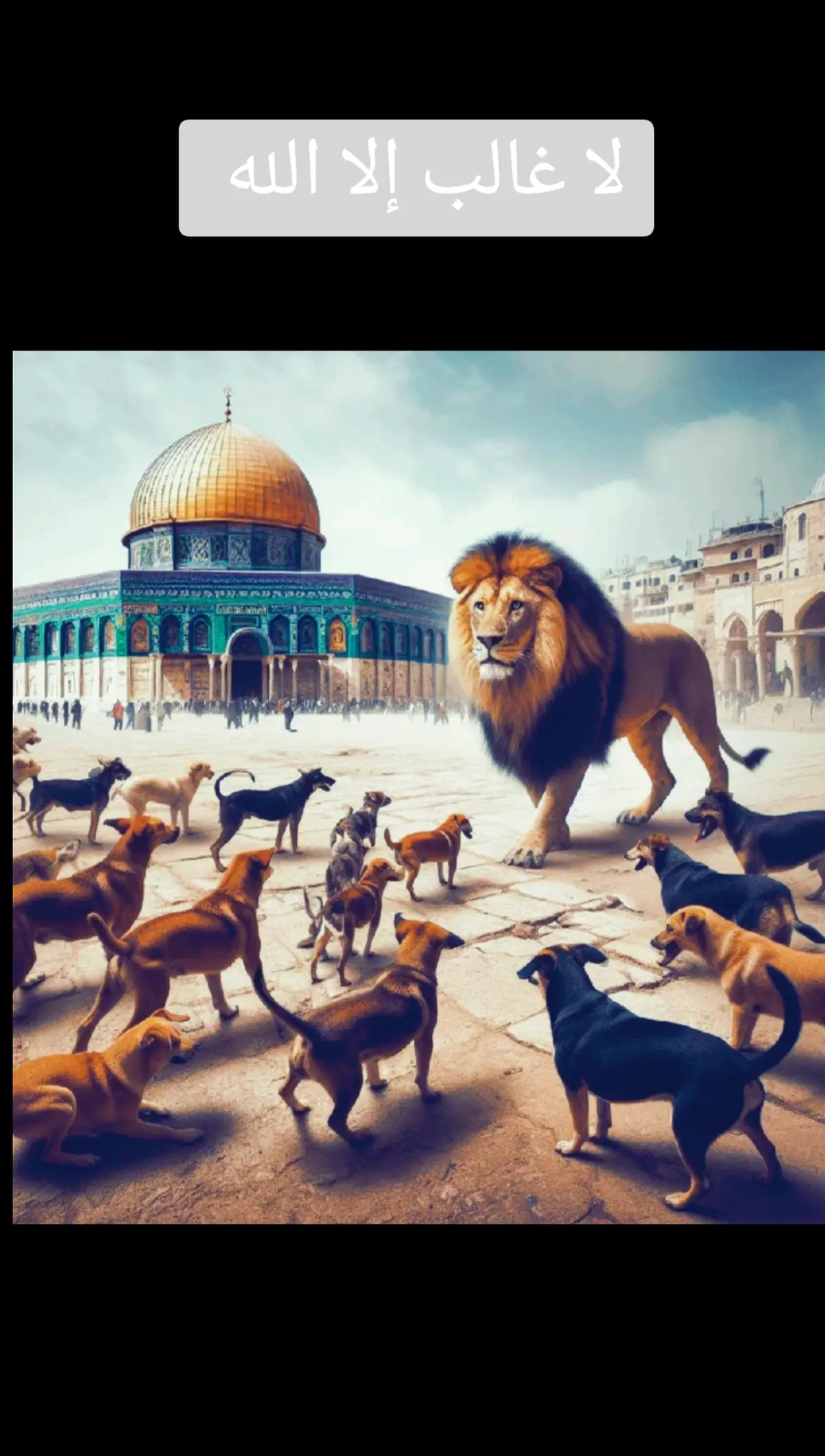 صيت الأسد مرعب رغم قلته.معتز مطر  لا غالب الا الله ✌🏻#معتز_مطر #قوالب #لا_غالب_إلا_الله #اكسبلور #اقتباسات #حالات_واتس #الله_غالب #القدس #القدس_لنا🇵🇸🕌 @moatazmatar4 