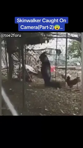 Skinwalker caught on camera(part-2)😨.... @toe2foru #possessed #horrifying #paranormal #creepy #scary #haunted #sound #dark #goat #ghost  #night #walk 