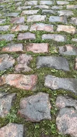 🫨 Be ready for 𝐀𝐑𝐄𝐍𝐁𝐄𝐑𝐆 #ParisRoubaix #sportstiktok 