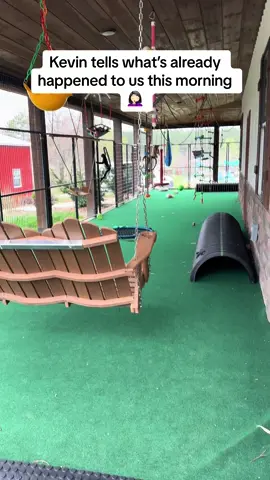 Morning greeting from the monkeys. Carpet going down today. We’ve already had our first disaster this morning 💩 🤣