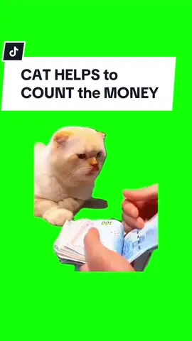 #CapCut CAT COUNTS MONEY. #greenscreen #greenscreenvideo #greenscreenoverlays #fyp #fypシ #fypage #fypppppppppppppppppppppppppppppppppppppppppppppppppppppppppppppppppppppp #fyppage #fypシ❤️💞❤️ #meme #memes #memestagram #freefirememe #memepage #viral #viralvideos #viralreels #viralvideo #viralpost #meme2024 #cat #cats #catsofinstagram #catlover #catmemes #catmeme #trend #trending #viralcats 