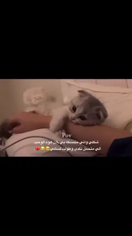 (@)؟؟#منشن_للي_تحبه  #قناتي_تلي_بالبايو  #صعدو_الفيديو  #اكسبلور  #شعب_الصيني_ماله_حل😂😂 