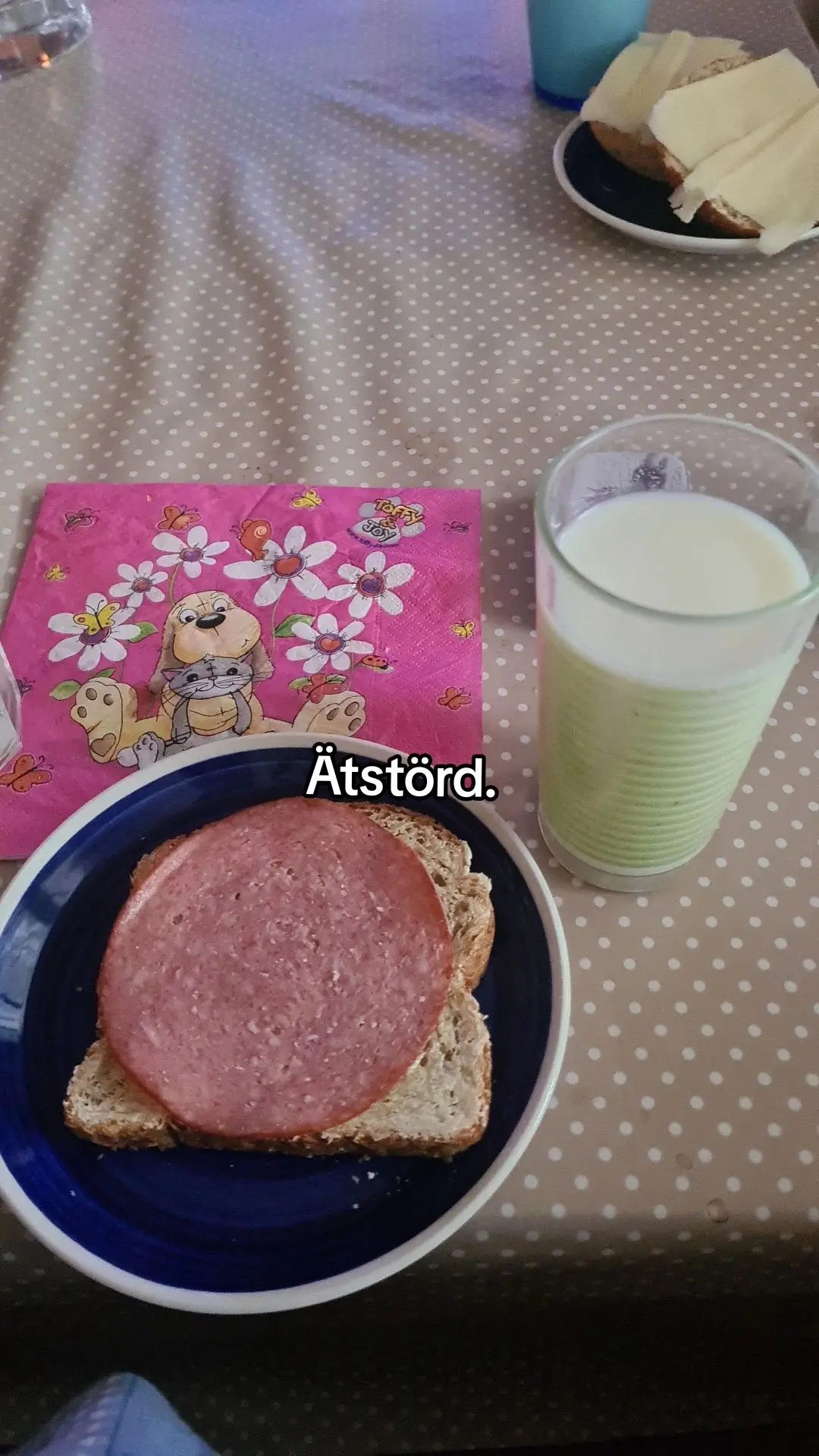 SNÄLLA LÄS ALL TEXT PÅ SISTA SIDAN!❤️🙏 #foryou #important #edsheeranrecoveryy 