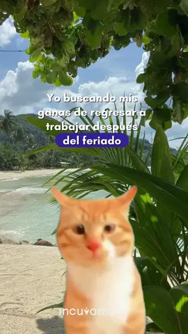 🔍💼 Tratando de encontrar la motivación para volver al trabajo después del feriado... ¡Pero todavía con la cabeza en las nubes! ☁️✈️ #PosVacaciones #feriadolargo #incuvamosjuntos #agenciademarketing 