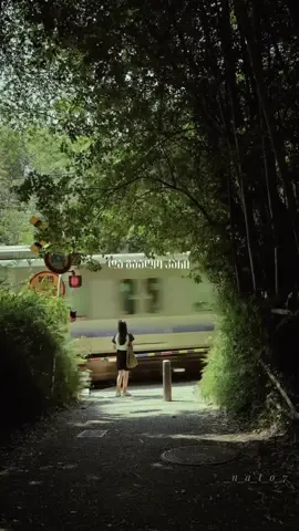 FuLA - “თუ დებ, დადე”💚⏳#calypse #თუდებდადე #თუდებდადეfula #fulacalypse #CapCut #fula #foryou #fyp #fypシ #georgia #tbilisi #vibes #cinematic #გაზაფხული #ლირიკა #viral #viralvideo #fulacalypseedit #lyrics #foryoupage #ლირიქსი #_n_a_t_o_7_ #ქართულირეპი #აპრილი #fula 