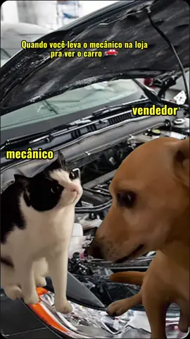 Comenta ai se é isto mesmo! #Meme #MemeCut #CapCut #mecânico #oficina #retifica #memes 