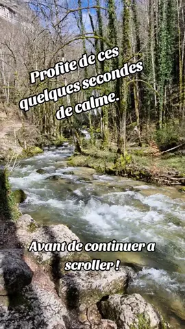 Profite de ces quelques secondes de calme. #calme #chill #relax #wild #wildlife 
