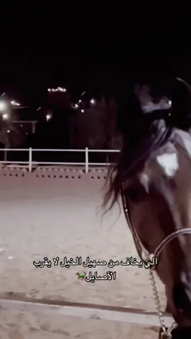 البطل شامخ 🐎 ماشاءالله الله يبارك 🤍___________ #مرح_الهملان #viral #fyp #اكسبلور #خيل_وخياله🐎 #فارسة_الأردن #horse #عمان 