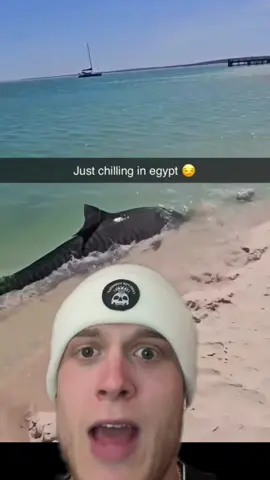 @Canned Memes no way