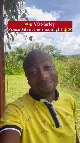 🇯🇲🔥🎶 YG MARLEY  - « PRAISE JAH IN THE MOONLIGHT »🔥🇯🇲 #martinique #guadeloupe #guyane #jamaica #foryoupage #prt #tiktokers #viral #pourtoi #english #dancehall #teaching #kreyol #fun #comedy #caribbeantiktok #dancehall