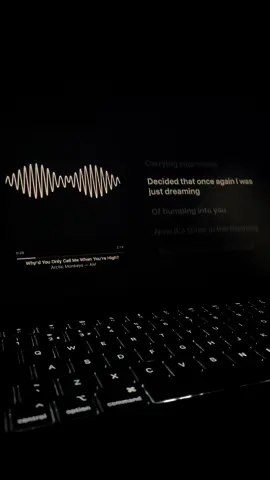 Why’d you only call me when you’re high? #fyp #music #lyrics #arcticmonkeys 