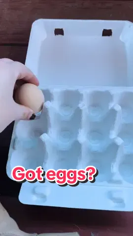 #FreshEgg packaging ASMR. 🥚 🐓  Love my #backyardchickens❤️🐓 