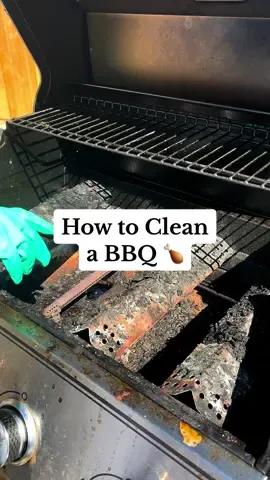 I normally always voiceover my cleaning videos but this seemed cinematic w the main character obv being bbq daddy ✨ @Scrub Daddy #CleanTok #bbqcleaning #bbqszn #scrubdaddypartner #howtoclean #asmrcleaning #oddlysatisfying 