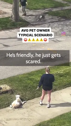 Perfect example of what NOT to do.  I don’t know who needs to hear this, but 👇🏽 🗣️ YOUR DOG DOES NOT NEED TO MEET OTHER DOGS.  🗣️ THEY WILL BE JUST FINE WITHOUT THE INTERACTION   🗣️ ITS OKAY TO SAY NO   🗣️ MOST PEOPLE DONT KNOW SH#T ABOUT THEIR DOGS BEHAVIOR  🗣️ “FRIENDLY” WELL-INTENDED PUSHY/OVER EXCITED DOGS CAUSE FIGHTS And for the record, that dog WAS NOT friendly, he was a bully and trying to DOMINATE the other dog. A great example of how people think pushy, over the top dogs are friendly when really they’re assholes.   #aggressivedog #nervousdog #dogpsychology #dogbodylanguage #dogbehavior #dogbehaviour #dogsmeeting #dogintroduction  Would you let your dog meet like this?👇🏽
