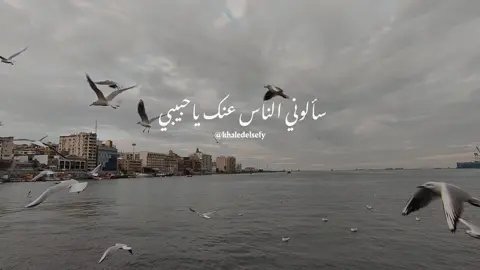 سألوني الناس عنك يا حبيبي ❤️ #خالد_الصيفي #فيروز #سألوني_الناس #فيروزيات #روقان #زمن_الفن_الجميل @خـالـد | khaled 