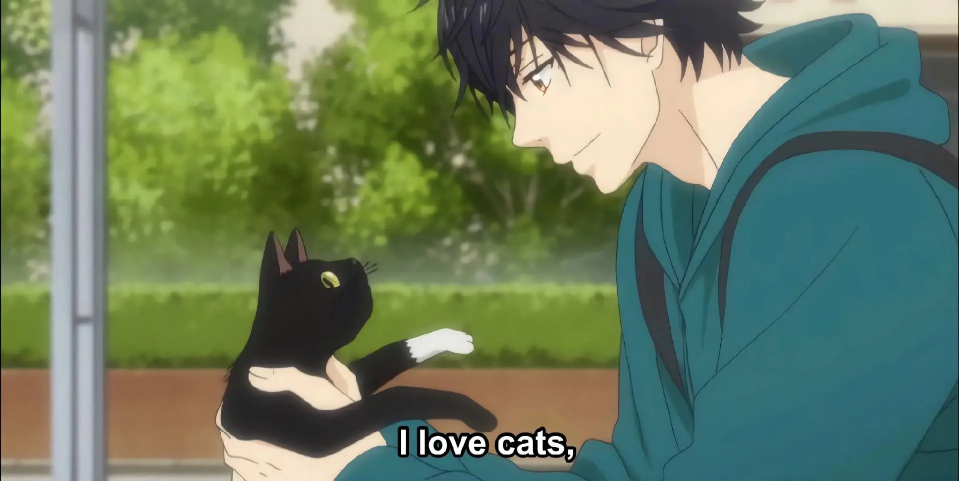 #aoharuride  #anime 