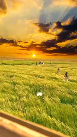 Đôi Mắt Người Xưa  ...!!!                         #xh #nhachaymoingay #nhackhongloi #canhdepthiennhien #bolero #xuhuong #foryou #funy #fry #CapCut 