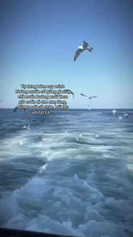 Tự dưng hôm nay mình không muốn cố gắng gì nữa, chỉ muốn buông xuôi theo gió cuốn đi cho nhẹ lòng, bất lực với số phận, bất lực với tất cả...!@TikTok #xh #fyp #up #xuhuong #xhtiktok #storytime #ntbq_070 