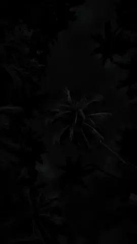 #story_94🎭 #anakku #anakkuat #buahhati #semangatku 