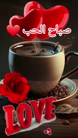 صباح الحب لكل الأحبة ❤❤ #viral #fyp #foryou #صباح_الورد #حب #foryourpage 