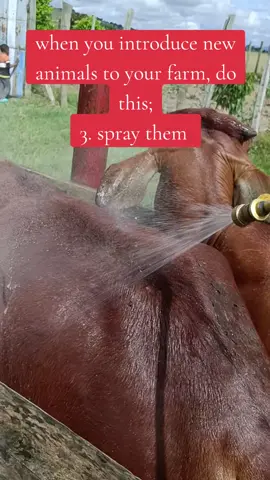 when you introduce new animals to your farm, make sure you spray them to make sure all ticks are killed. this will help reduce any chances of tick borne diseases 