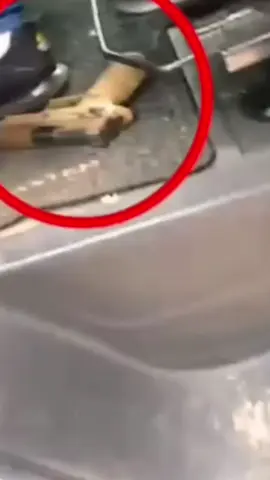 ضبط مسدس بحوزة سائق شاحنة من #الرينة، خلال فحص رخصة قيادته قرب #الناصرة 