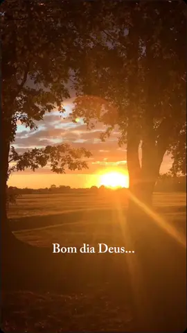 Bom dia Deus #_statuscristao #fpy #cristão 