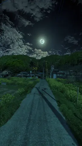 Images of my childhood came to my mind instantly.#fyp #scenery