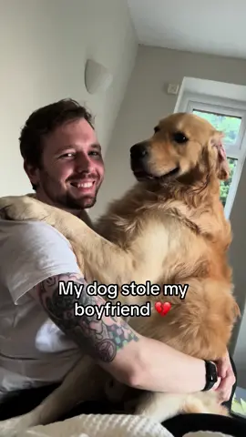I’ve now become to the hird wheel in my relationship 😅 #mansbestfriend #goldenretriever #stealyourman 