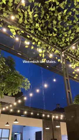 #jowostory #jowopride 