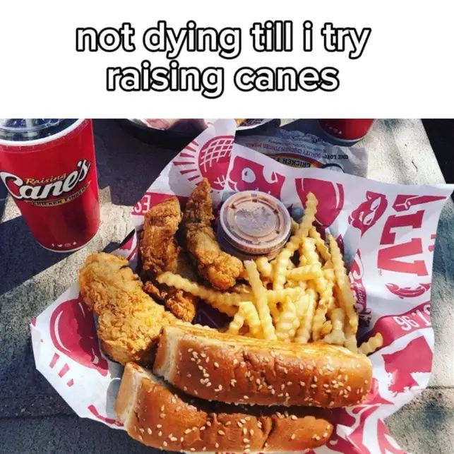 need #raisingcanes #wingstop #innout #churchschicken #popeyes #pandaexpress #chickfila #usa #foryou #foryoupage #fyp 