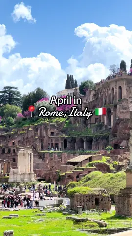 April in Rome, Italy 🇮🇹💐 Ready to elevate your next Italian getaway? Secure your spot on one of our top-rated guided tours—we can't wait to share the magic of Rome with you! #whatalifetours #aprilinrome #romeinapril #springinrome #rome #italy #travel #travelguide #romeguide #foryoupage #4upage #4u #fyp #fypシ #whatalife #tourrome #rometour #rometours