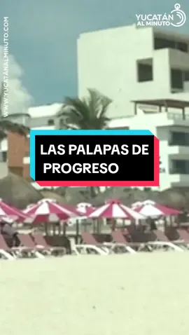 No dejes que te renten las palapas #palapas #progreso #progresoyucatán #playa #noticia #tiktok #videoviralitiktok #videoviral #parati #video #viral #fyp #tiktokviral #mexico #meridayucatanmexico #yucatanalminuto #merida 