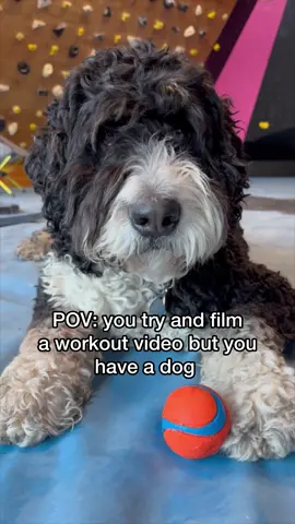 When your dog refuses to recognize he’s not the center of your attention 100% of the time ⁠ #Trainingforclimbing #climbing #workout #rockclimbing #Fitness 