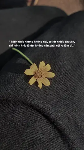 Nhìn thấu. #nhinthau #caption #story #xuhuong #moingaymottamtrang105 