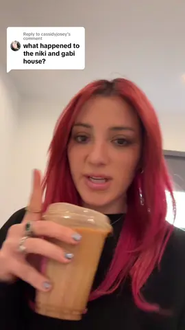 Replying to @cassidyjosey and here’s the tea on the filming house 👀 #nikiandgabi 