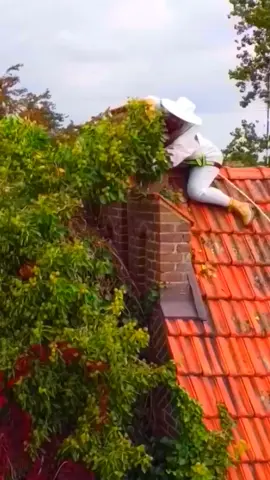 Satisfying Garden Work 🤩🍀 #garden #oddlysatisfying #cleaningtok #viraltiktok #satisfyingcleans #gardening 